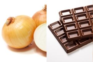 人与猫共同使用的厨房:安全、动线与设备选择:入口与视线 2
