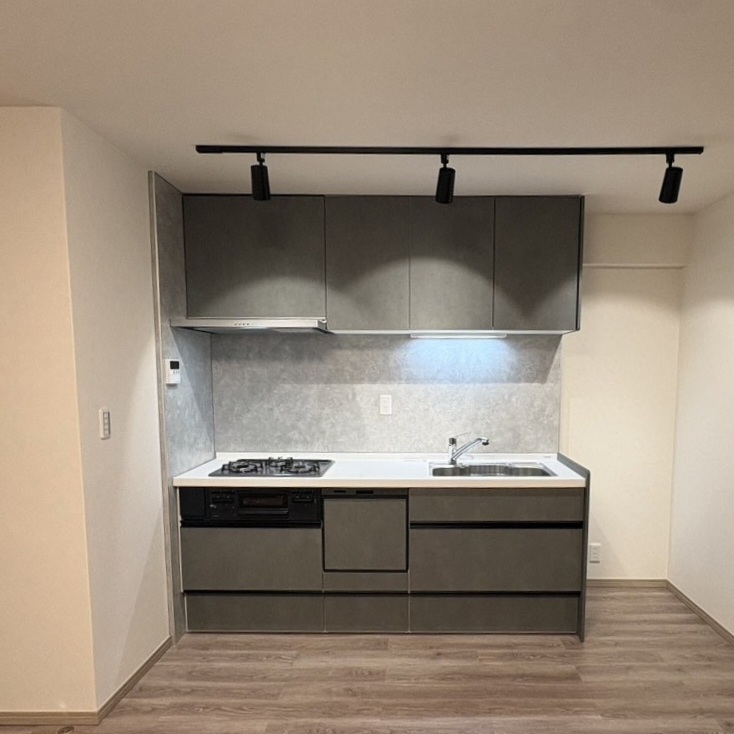灰色住宅空间:厨房、水区与室内材料搭配:灰色贯穿厨房与起居区 2