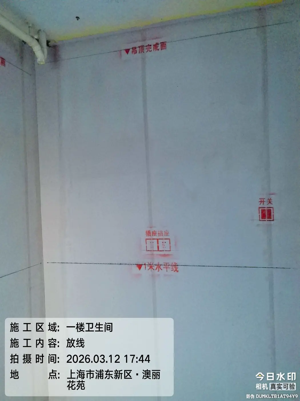 放线 5