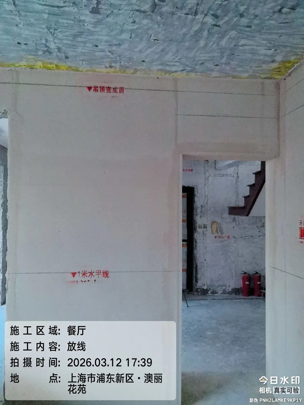 放线 8