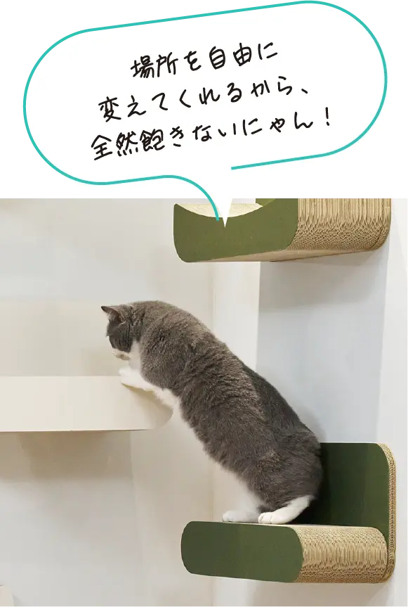 磁吸式猫跳台布置示例一