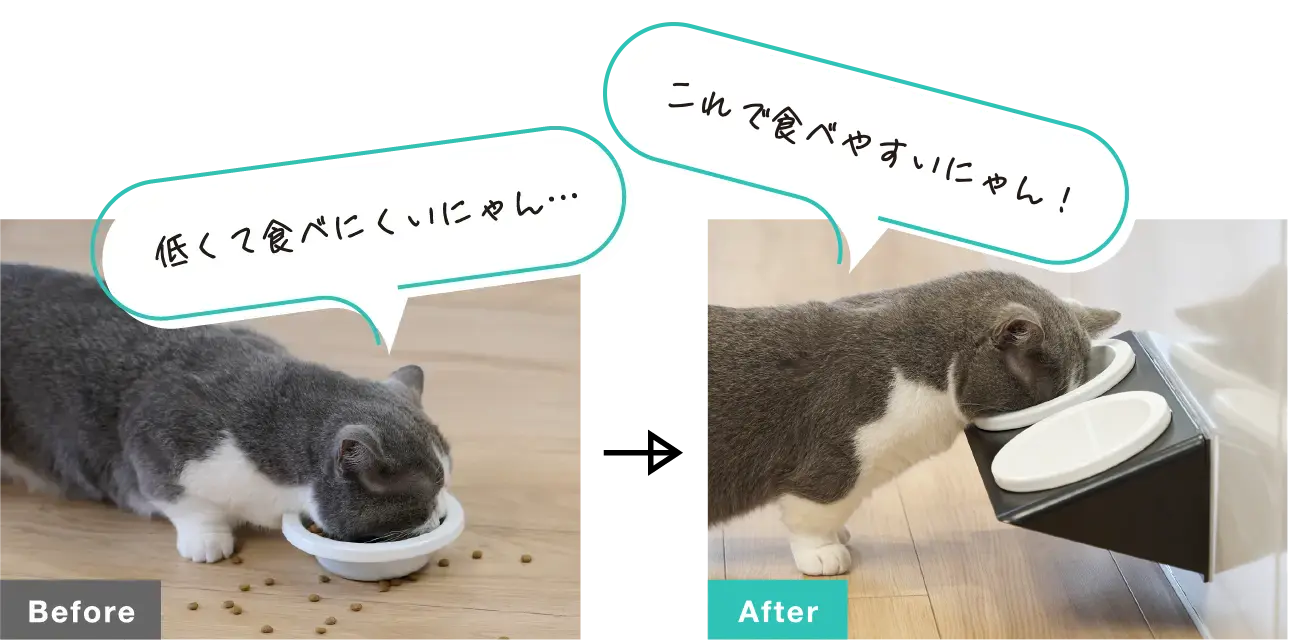 离地设置的宠物食盆