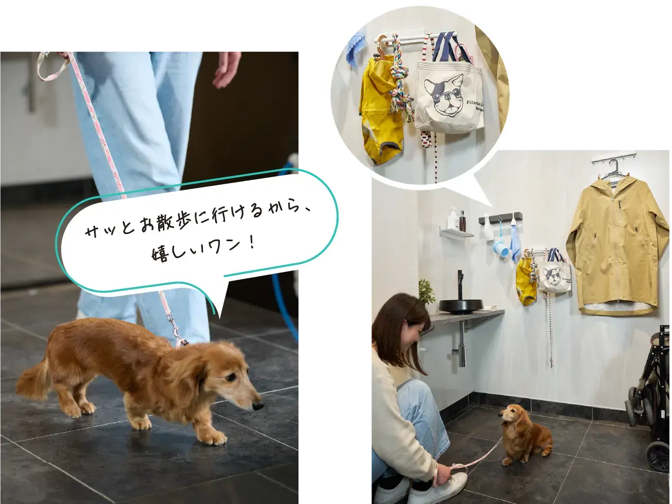 玄关低位墙面与宠物用品细节