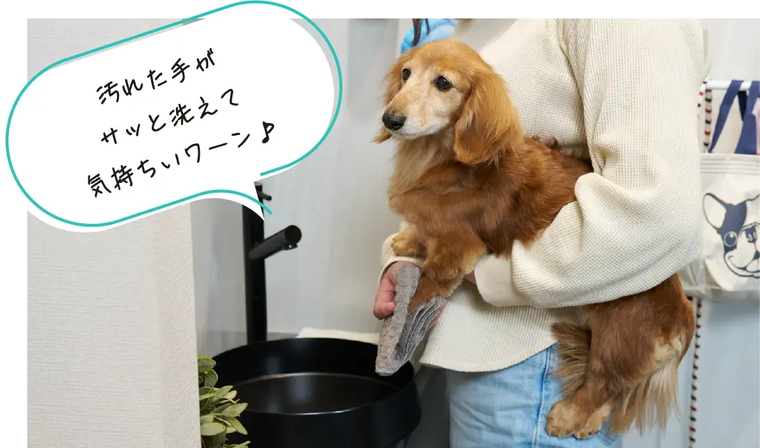 玄关附近的宠物食盆布置