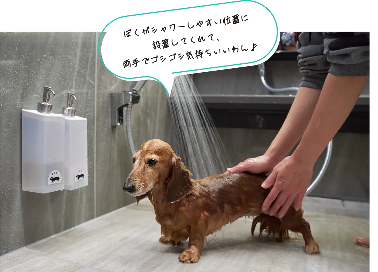 适合双手操作的花洒高度示例