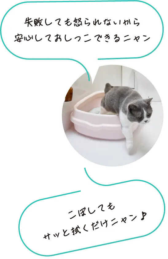 猫使用猫砂盆的说明插图