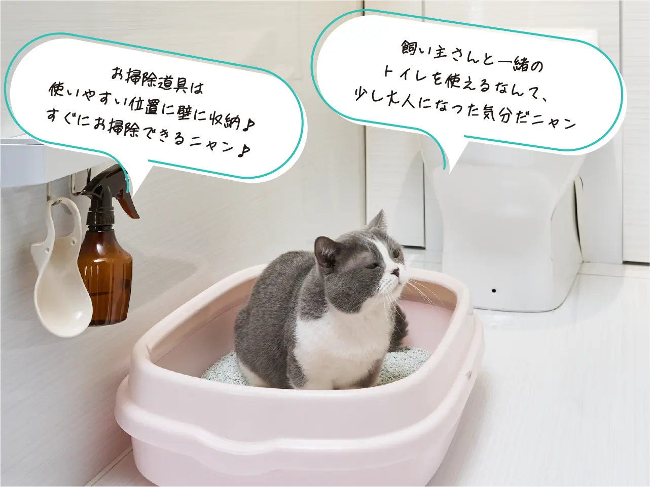 卫生间墙面收纳的其他使用方式