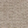 Maple 332