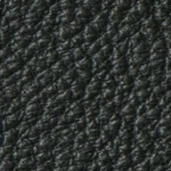 LEATHER BLACK X496