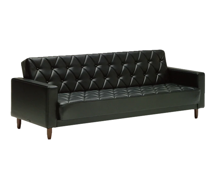 Sleeping Sofa