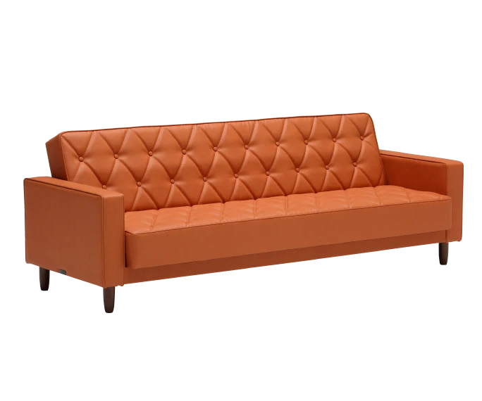 Sleeping Sofa